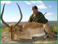 Impala