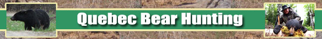 Quebec Spring Bear Huntinging