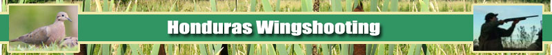 Honduras Wingshooting Dove Hunting OffHunting.com