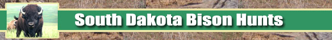 SOUTH DAKOTA BISON HUNTS